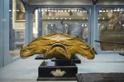 museo di storia naturale bologna 8-2022 4149